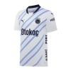 Camisola do Fenerbahce Equipamento Alternativo 2024-25